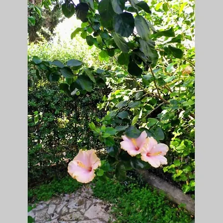 Francesca A Due Passi Dal Mare -